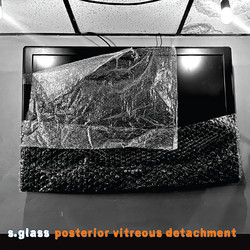  Posterior Vitreous Detachment (Video Soundtracks Vol 1) 