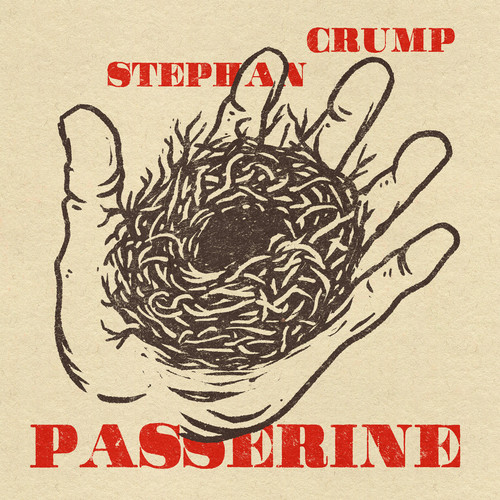 Passerine