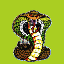  Live At Nate's Snake Pit 