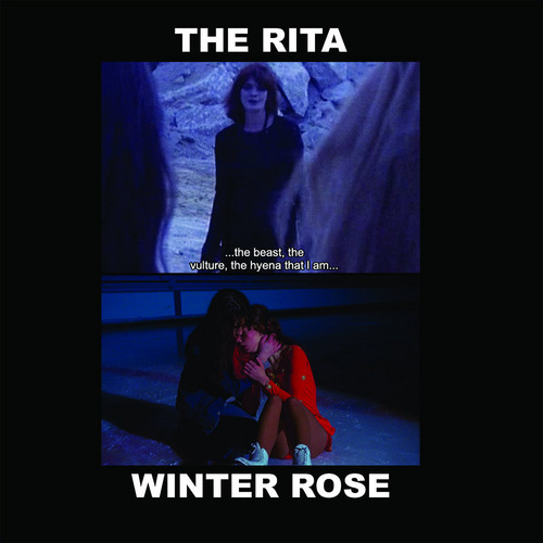 The Rita / Winter Rose