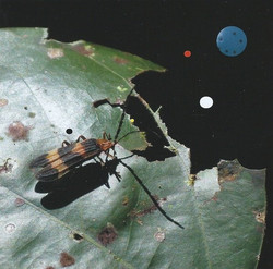 Ultrealith