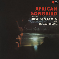 African Songbird