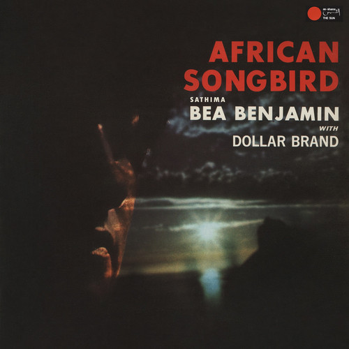 African Songbird