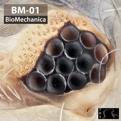 BM-01