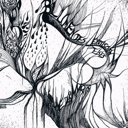 Karawane Der Mystiks