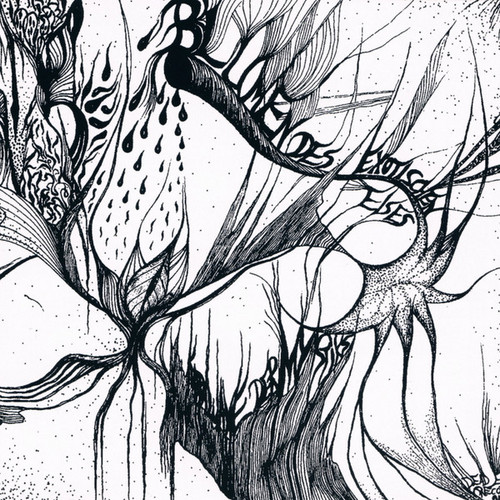 Karawane Der Mystiks