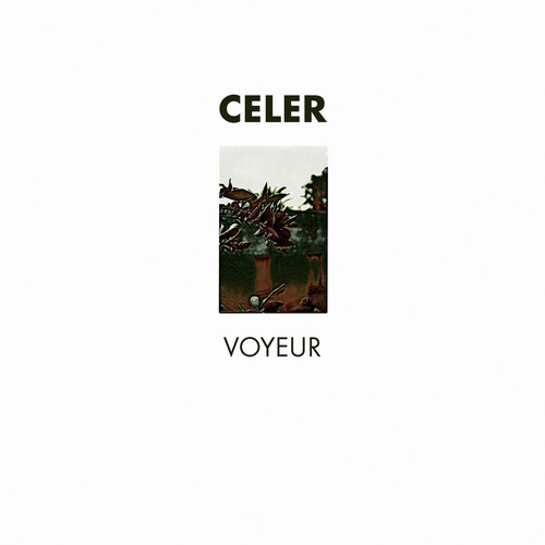Voyeur