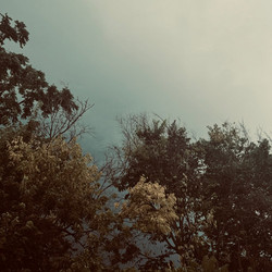 Lowland: In Three