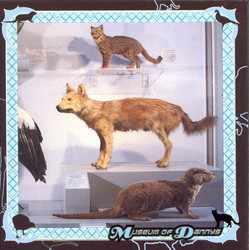 Museum of Dannys