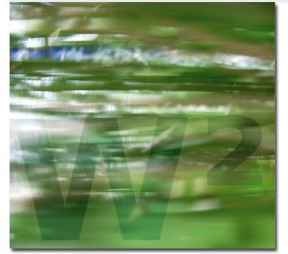 W2 (1998-2008)