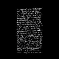 Notebook (techniques of self-destruction)