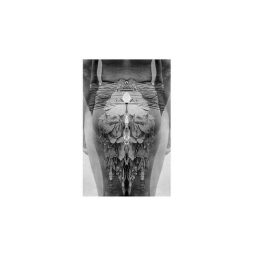 15 More Tapes
