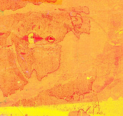 Leave/Trace