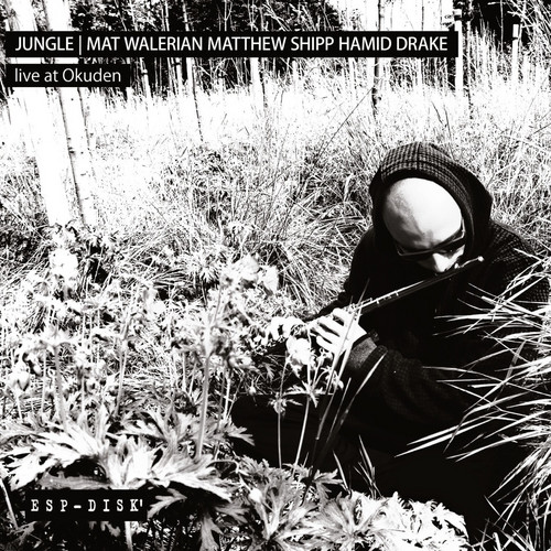 Jungle: Live At Okuden