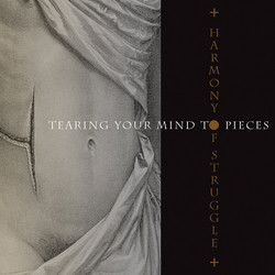 Tearing Your Mind To Pieces