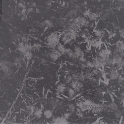 Poisoned Soil