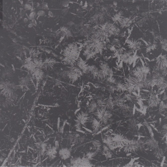Poisoned Soil