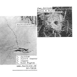 Music for Fragments / Music & Birds