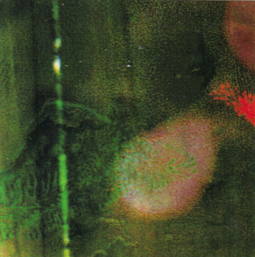 Dispel space - Time lust