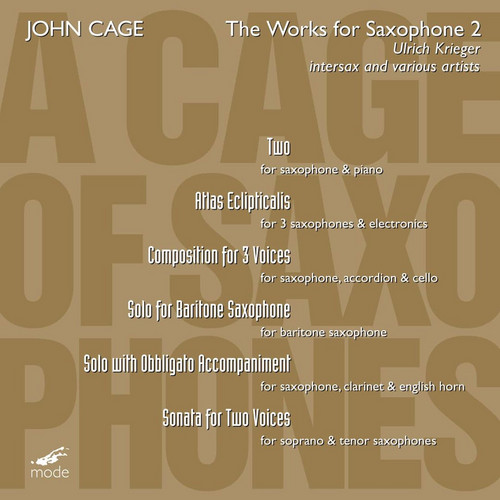 A Cage of Saxophones 2