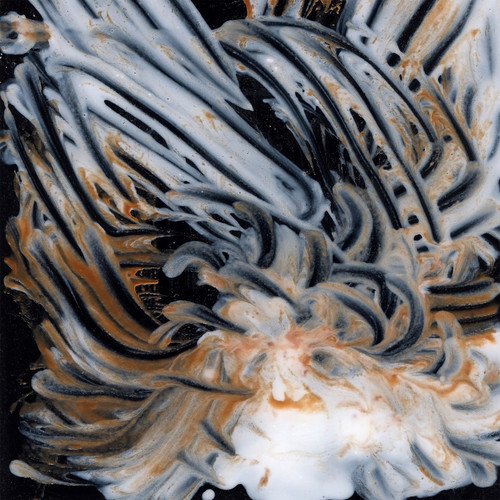 Le Lisse Et Le Strié
