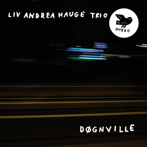 Døgnville