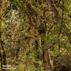 Terrain