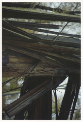 Animistic (for Donatella)