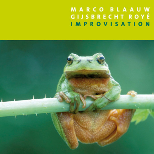 Improvisation