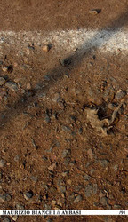 Aybasi
