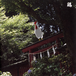13 Japanese Birds Vol.10