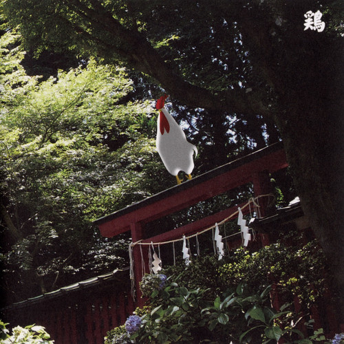 13 Japanese Birds Vol.10