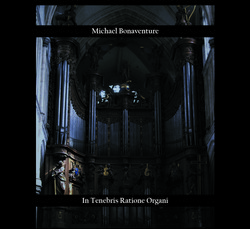 In Tenebris Ratione Organi