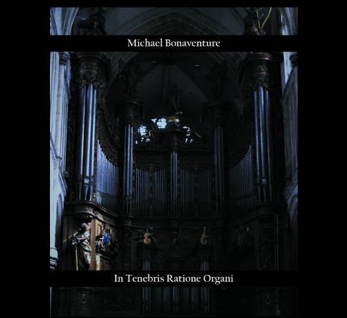 In Tenebris Ratione Organi