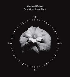 One Hour As A Plant