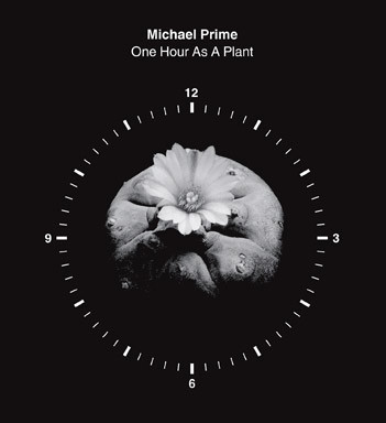 One Hour As A Plant