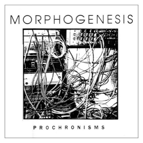 Prochronisms
