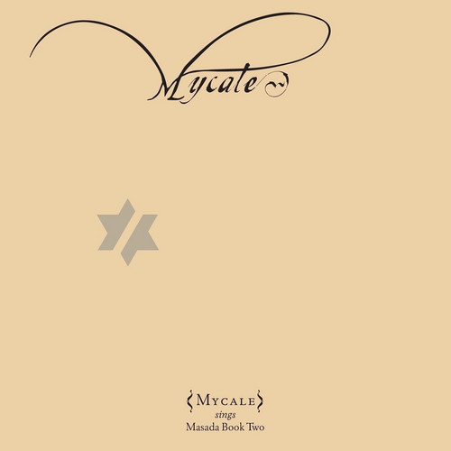 Book Of Angels Volume 13