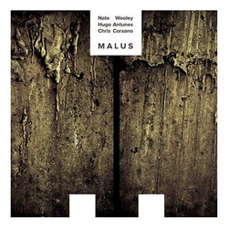 Malus