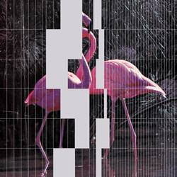Dance Classics Vol. I