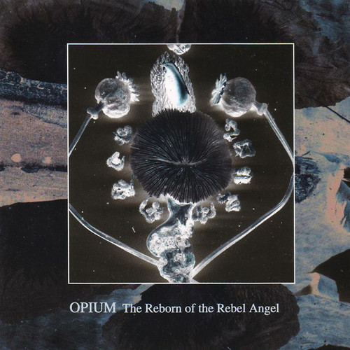 The reborn of the rebel angel