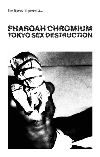 Tokyo Sex Destruction