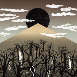 Aokigahara