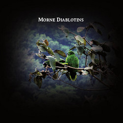Morne diablotins