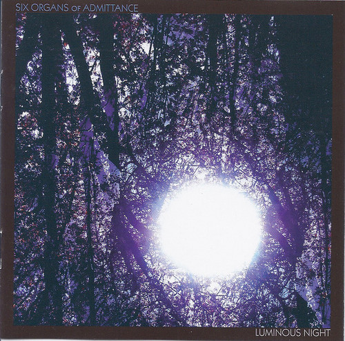 Luminous Night