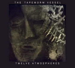 Twelve Atmospheres