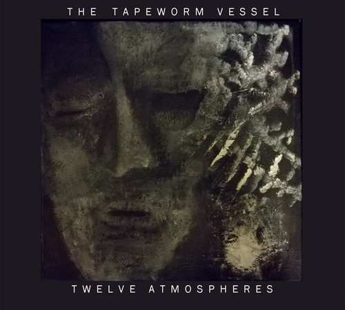 Twelve Atmospheres