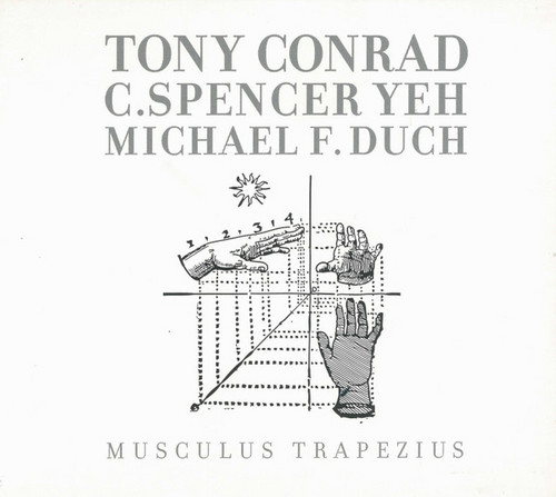 Musculus Trapezius
