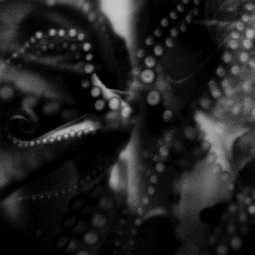 Delusion Of Hope