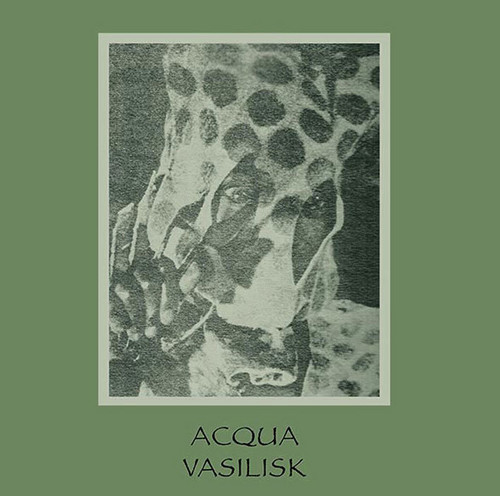 Acqua